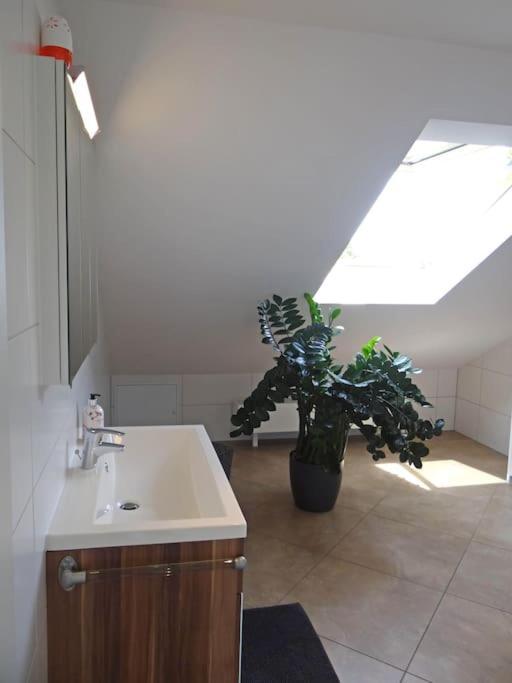 Appartement Kleine Stadtoase Dresden