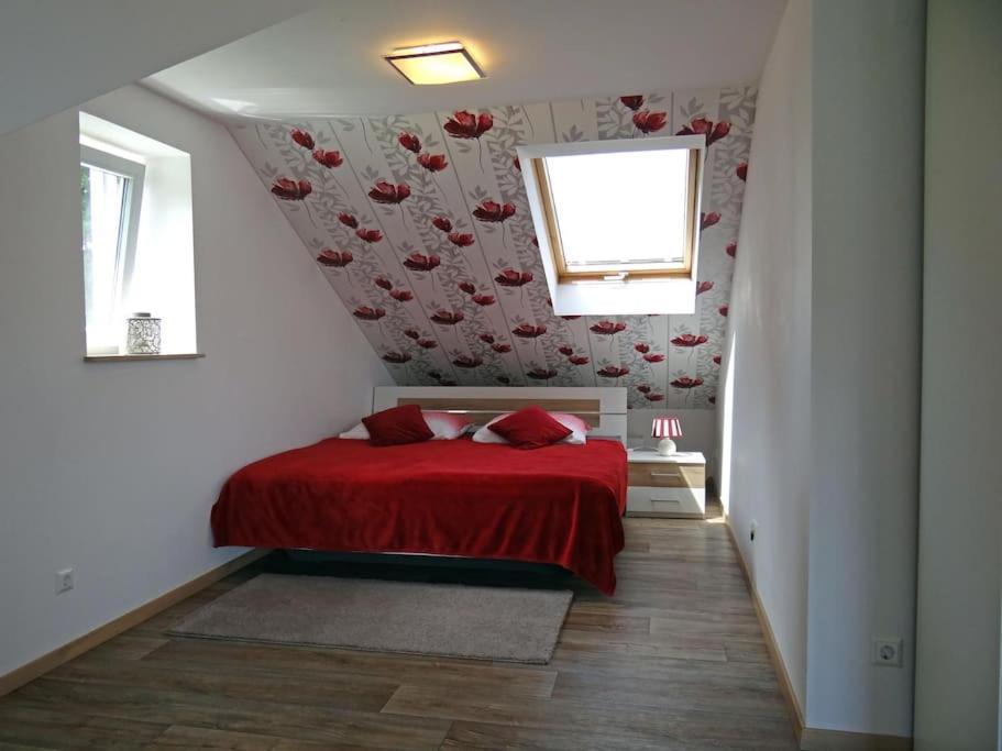 Kleine Stadtoase Appartement Dresden